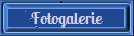 Fotogalerie